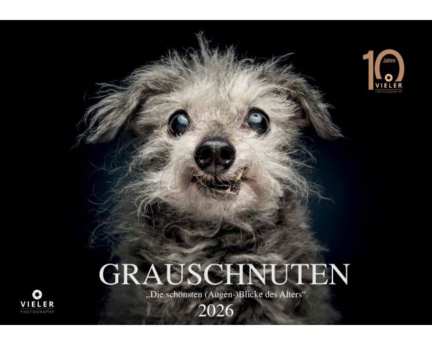 Senior Dogs - Calendar 2026