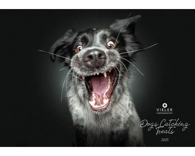 Dogs Catching Treats - Calendar 2025